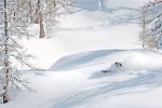 Skitourenkurs & Fahrtechniktraining Kleinwalsertal