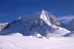 Skitourentage im Ahrntal